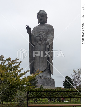 公園裡的大佛 公園裡的大佛 142996416