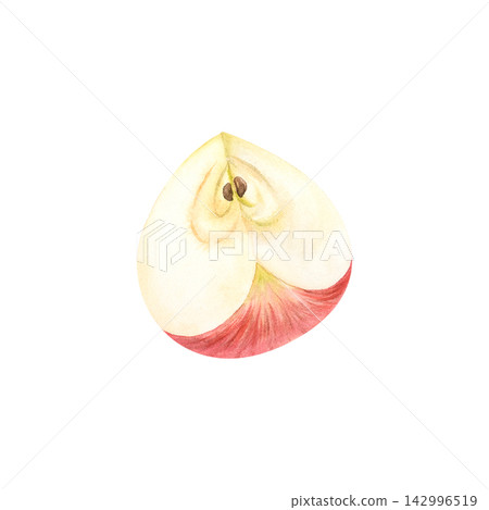 A watercolor illustration of half a fresh red apple from the autumn harvest. An eco friendly vegan fruit. An ingredient for cooking or a healthy snack. The apple slice is hand painted in pastel tones. A watercolor illustration of half a fresh red apple from the autumn harvest. An eco friendly vegan fruit. An ingredient for cooking or a healthy snack. The apple slice is hand painted in pastel tones. 142996519