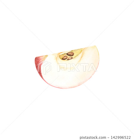 A watercolor illustration of half a fresh red apple from the autumn harvest. An eco friendly vegan fruit. An ingredient for cooking or a healthy snack. The apple slice is hand painted in pastel tones. A watercolor illustration of half a fresh red apple from the autumn harvest. An eco friendly vegan fruit. An ingredient for cooking or a healthy snack. The apple slice is hand painted in pastel tones. 142996522