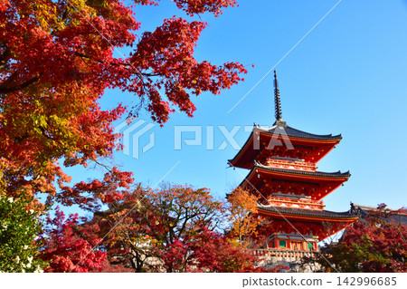 秋季清水寺三層塔 秋季清水寺三層塔 142996685