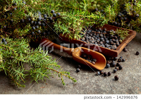 Juniper branches with fresh berries. Juniper branches with fresh berries. 142996876
