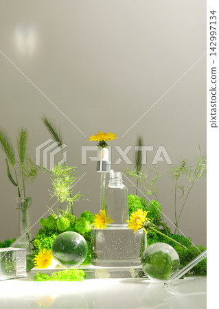 Clear skincare products alongside plants and flowers Clear skincare products alongside plants and flowers 142997134