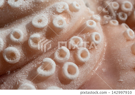 Macro shot of whole frozen octopus legs or big tentacles Macro shot of whole frozen octopus legs or big tentacles 142997910