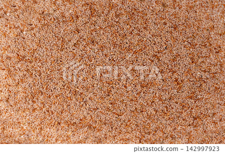 Plantago ovata seeds, Psyllium husk, isabgol dietary fiber or ispaghula Plantago ovata seeds, Psyllium husk, isabgol dietary fiber or ispaghula 142997923