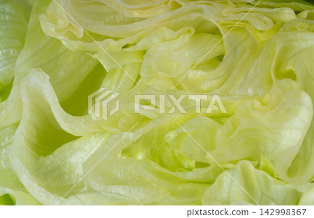 Iceberg lettuce salad macro texture Iceberg lettuce salad macro texture 142998367