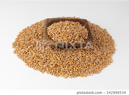 Wheat Grains Isolated, Barley Pile Wheat Grains Isolated, Barley Pile 142998534