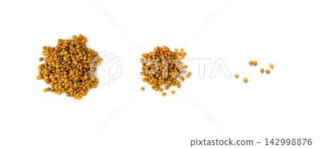 Cooked lentil, boiled green lentils 142998876