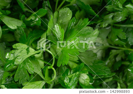 Fresh parsley leaf with water drops texture Fresh parsley leaf with water drops texture 142998893
