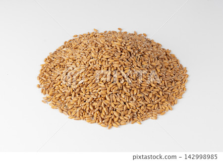Wheat Grains Isolated, Barley Pile Wheat Grains Isolated, Barley Pile 142998985