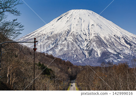 白雪皚皚的羊蹄山在湛藍的天空映襯下格外醒目,北海道無盡筆直的道路景色在眼前徐徐展開。 白雪皚皚的羊蹄山在湛藍的天空映襯下格外醒目,北海道無盡筆直的道路景色在眼前徐徐展開。 142999016