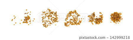 Cooked lentil, boiled green lentils Cooked lentil, boiled green lentils 142999218