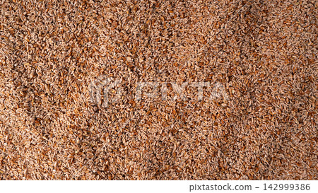 Plantago ovata seeds, Psyllium husk, isabgol dietary fiber or ispaghula Plantago ovata seeds, Psyllium husk, isabgol dietary fiber or ispaghula 142999386