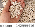 White kidney bean, dry cannellini beans pile 142999416