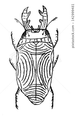 Cute bug crayon sketch, doodle insect illustration Cute bug crayon sketch, doodle insect illustration 142999481
