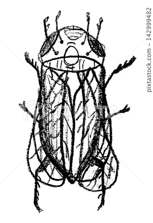 Cute bug crayon sketch, doodle insect illustration Cute bug crayon sketch, doodle insect illustration 142999482