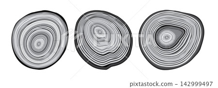 Tree trunk cut texture, wood slice annual rings vector pattern Tree trunk cut texture, wood slice annual rings vector pattern 142999497