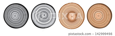 Tree trunk cut texture, wood slice annual rings vector pattern 142999498