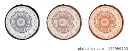Tree trunk cut texture, wood slice annual rings vector pattern Tree trunk cut texture, wood slice annual rings vector pattern 142999500
