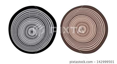 Tree trunk cut texture, wood slice annual rings vector pattern Tree trunk cut texture, wood slice annual rings vector pattern 142999501