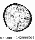Tree trunk cut texture, wood slice annual rings vector pattern 142999504