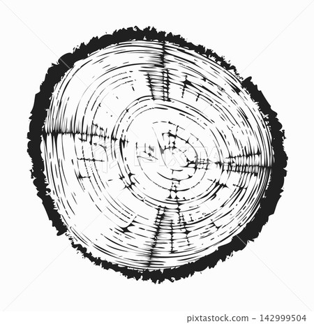 Tree trunk cut texture, wood slice annual rings vector pattern Tree trunk cut texture, wood slice annual rings vector pattern 142999504