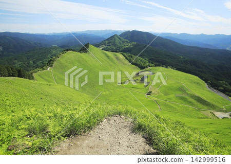 夏季索尼高原的景色 夏季索尼高原的景色 142999516