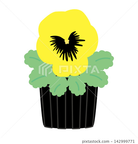 A simple yellow flower seedling, one seedling. A simple yellow flower seedling, one seedling. 142999771