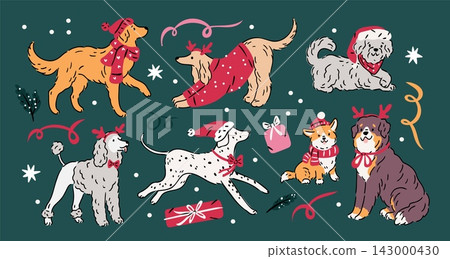 Cute christmas dogs. Festive puppies in cozy winter outfits, doodle holiday seasonal animal accessories, gifts and snowflakes, new year pets, garish hand drawn vector cartoon isolated set Cute christmas dogs. Festive puppies in cozy winter outfits, doodle holiday seasonal animal accessories, gifts and snowflakes, new year pets, garish hand drawn vector cartoon isolated set 143000430