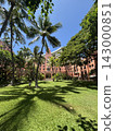 Palm tree of Hawaii 143000851