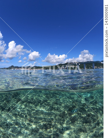 沖繩縣瀨底島:安知海灘的夏日天空和水下景色 沖繩縣瀨底島:安知海灘的夏日天空和水下景色 143000981
