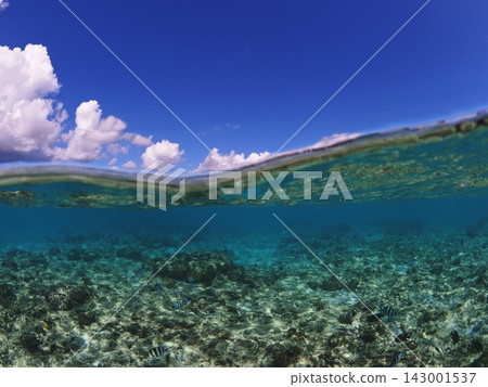 Sesoko Island, Okinawa Prefecture: Summer sky and underwater scenery of Anchi Beach Sesoko Island, Okinawa Prefecture: Summer sky and underwater scenery of Anchi Beach 143001537