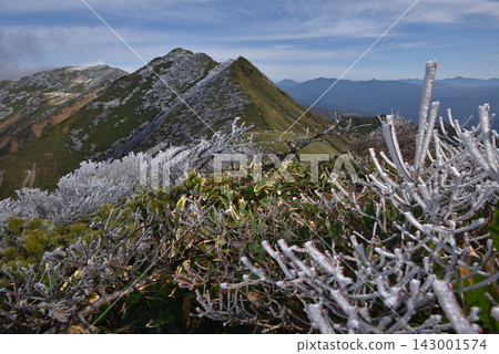 Early winter in the Tanigawa mountain range, the frost-covered ridge leading to Asahidake as seen from the frost-covered summit of Kasagatake. Early winter in the Tanigawa mountain range, the frost-covered ridge leading to Asahidake as seen from the frost-covered summit of Kasagatake. 143001574