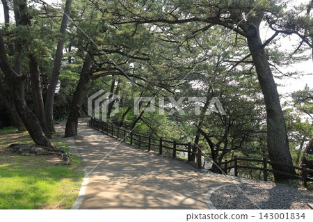 Kochi Prefecture, Kochi City, Katsurahama Park 143001834