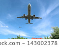 飛機 藍天 天空 143002378