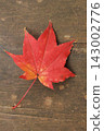 Leaf of autumn leaves maple 143002776