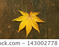 Yellow leaves 143002778