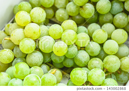 Niagara grapes, a specialty of Shiojiri City, Nagano Prefecture. Niagara grapes, a specialty of Shiojiri City, Nagano Prefecture. 143002868