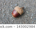 Acorn fell to the ground 143002984