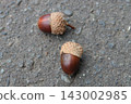 Acorn fell to the ground 143002985