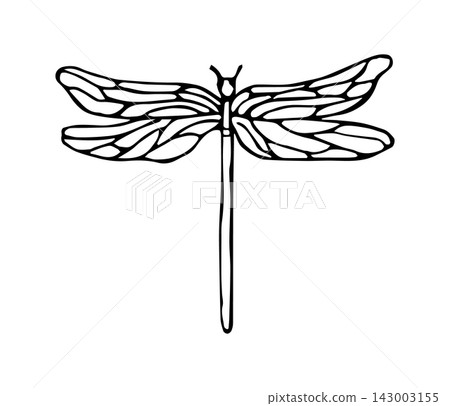 Dragonfly Insect Wings Bug Doodle Outline Illustration Black And White Dragonfly Insect Wings Bug Doodle Outline Illustration Black And White 143003155