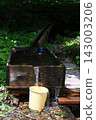 Nyuto Onsen: Pure water flowing through a lush green forest. 143003206