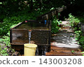 Nyuto Onsen: A traditional water source in a forest bathed in sunlight filtering through the trees. 143003208