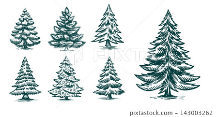 tree, christmas, xmas 143003262