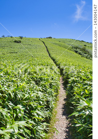 【靜岡縣】伊豆達摩山高原遠足路線~達摩山登山路線 【靜岡縣】伊豆達摩山高原遠足路線~達摩山登山路線 143004147