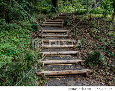 A landscape of log steps and walking paths in a park surrounded by nature. A landscape of log steps and walking paths in a park surrounded by nature. 143004246