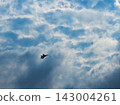 clouds, blue sky and airplane 143004261