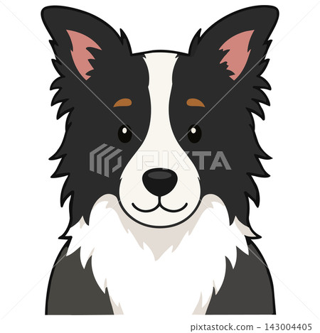 邊境牧羊犬插圖(png) 邊境牧羊犬插圖(png) 143004405