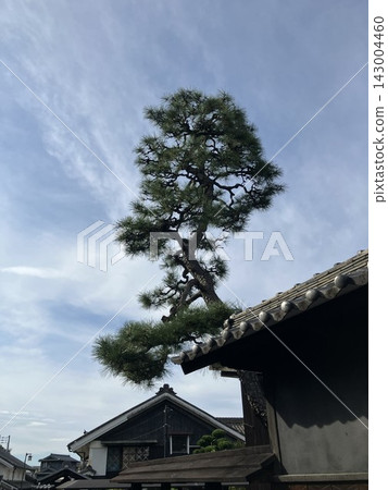 充滿日式匠技藝與歷史的空間 / 漫步於充滿傳統與莊重氣息的驛站小鎮 / 松樹 充滿日式匠技藝與歷史的空間 / 漫步於充滿傳統與莊重氣息的驛站小鎮 / 松樹 143004460