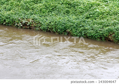River that was flooded by heavy rain River that was flooded by heavy rain 143004647