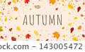 Autumn Banner And Autumn Leaf Vector Illustration 143005472